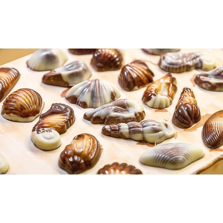 Goevernor's Beligian Seashells,190g