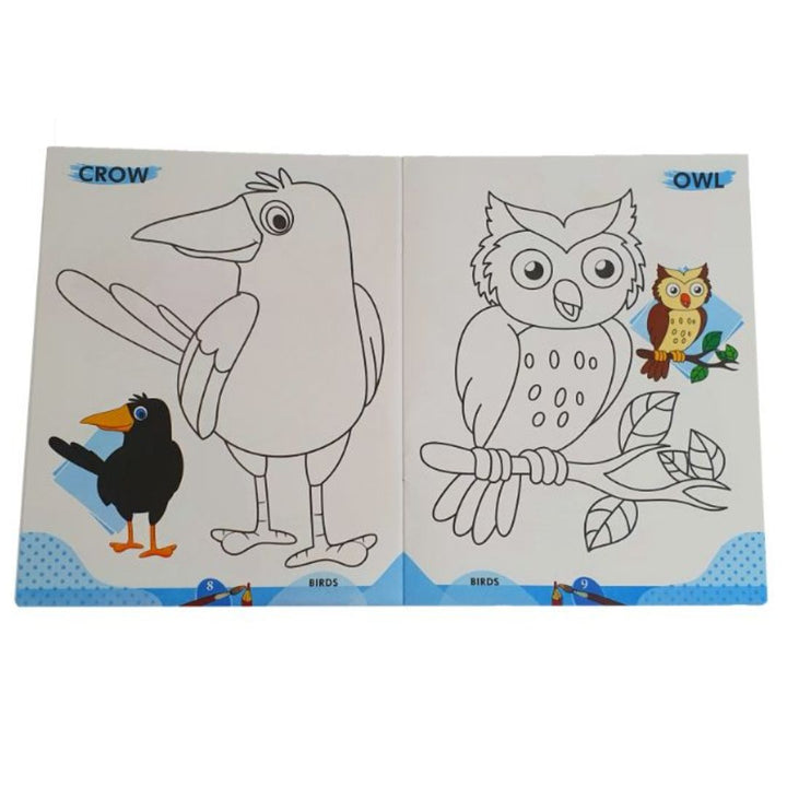 2-in-1 Copy To Colour Birds & Insects