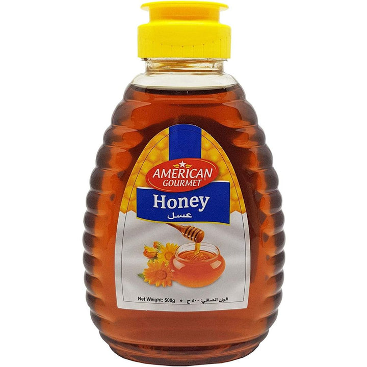 American Gourmet Honey Squeezy Bottle, 500g